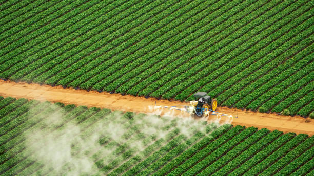 Best Termite Control Services  in Marshallton, PA