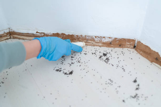 Best Pest Control Near Me in Marshallton, PA